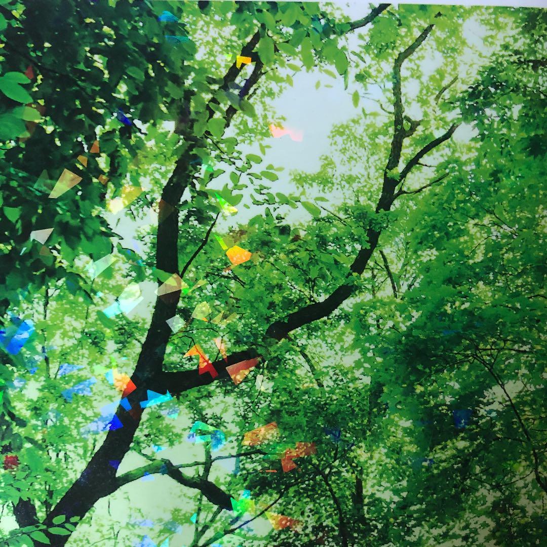 総合英語Evergreen