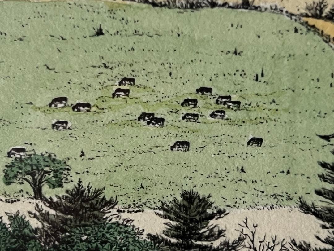 リトグラフ 手彩色 スーザン・ハント・ウォルコッツ