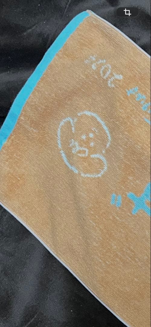 saucy dog おーなーずタオル