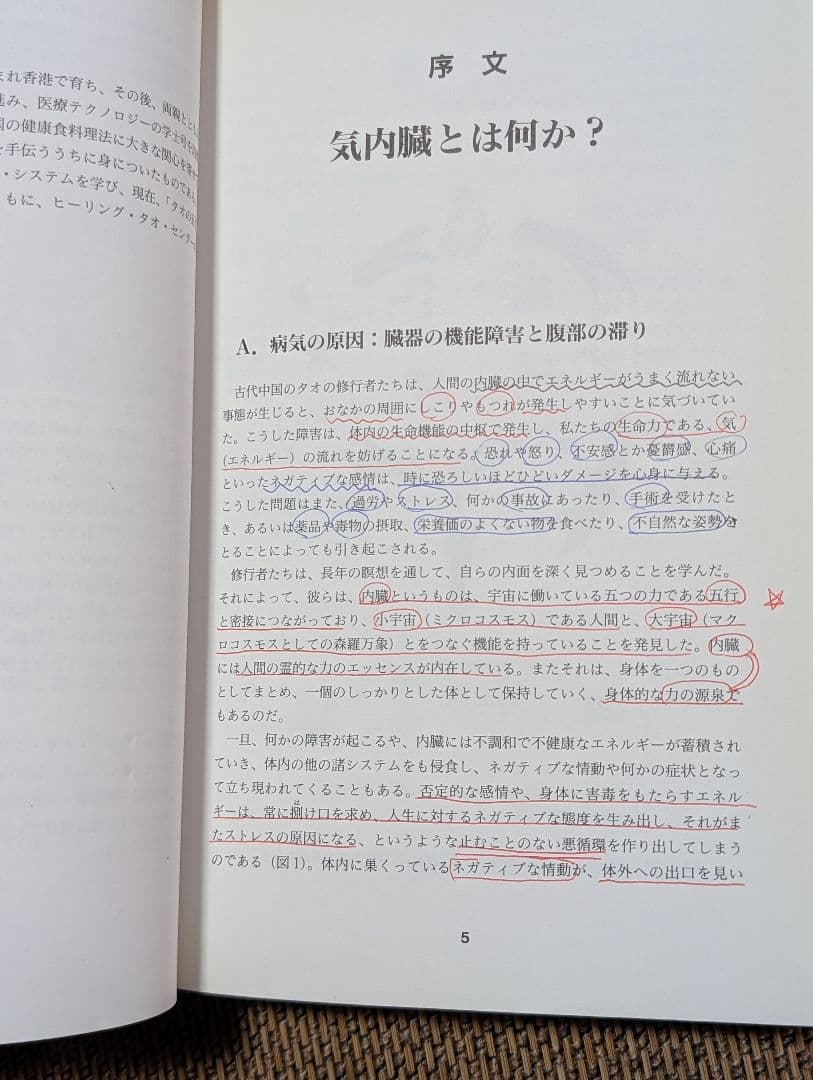 気内臓療法 　氣内臓　マンタクチア　謝明徳　チネイザン　チネイツァン