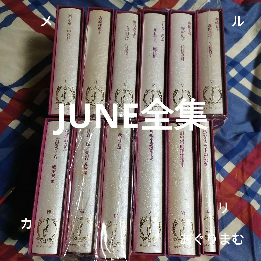小説 June全集 全12巻 ＢＬ小説