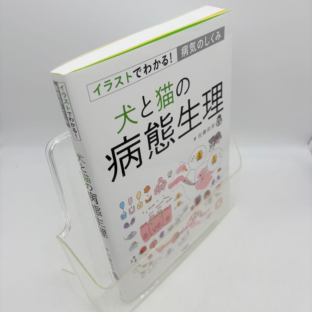 犬と猫の病態生理: イラストでわかる!病気のしくみ