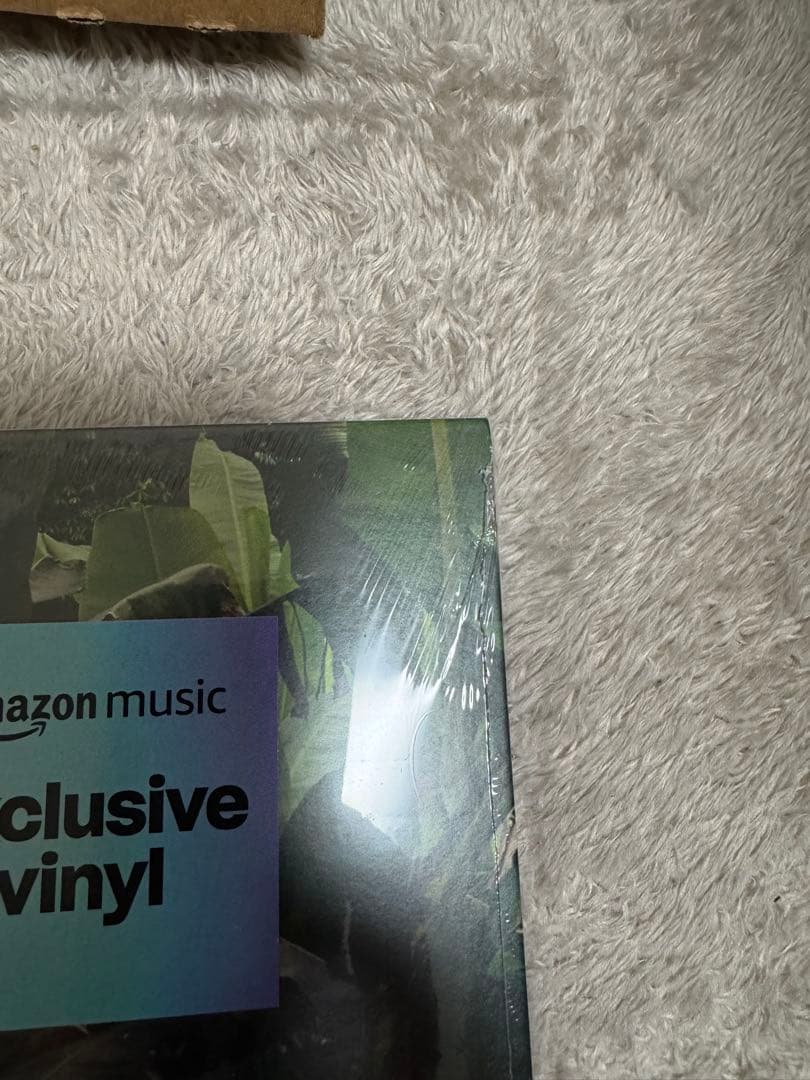 BAD BUNNY DeBí Tirar Más Fotos レコード DTMF