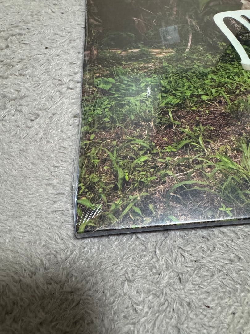 BAD BUNNY DeBí Tirar Más Fotos レコード DTMF