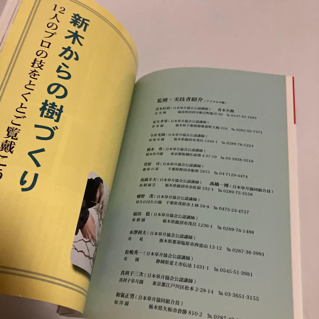 新木からの樹づくり