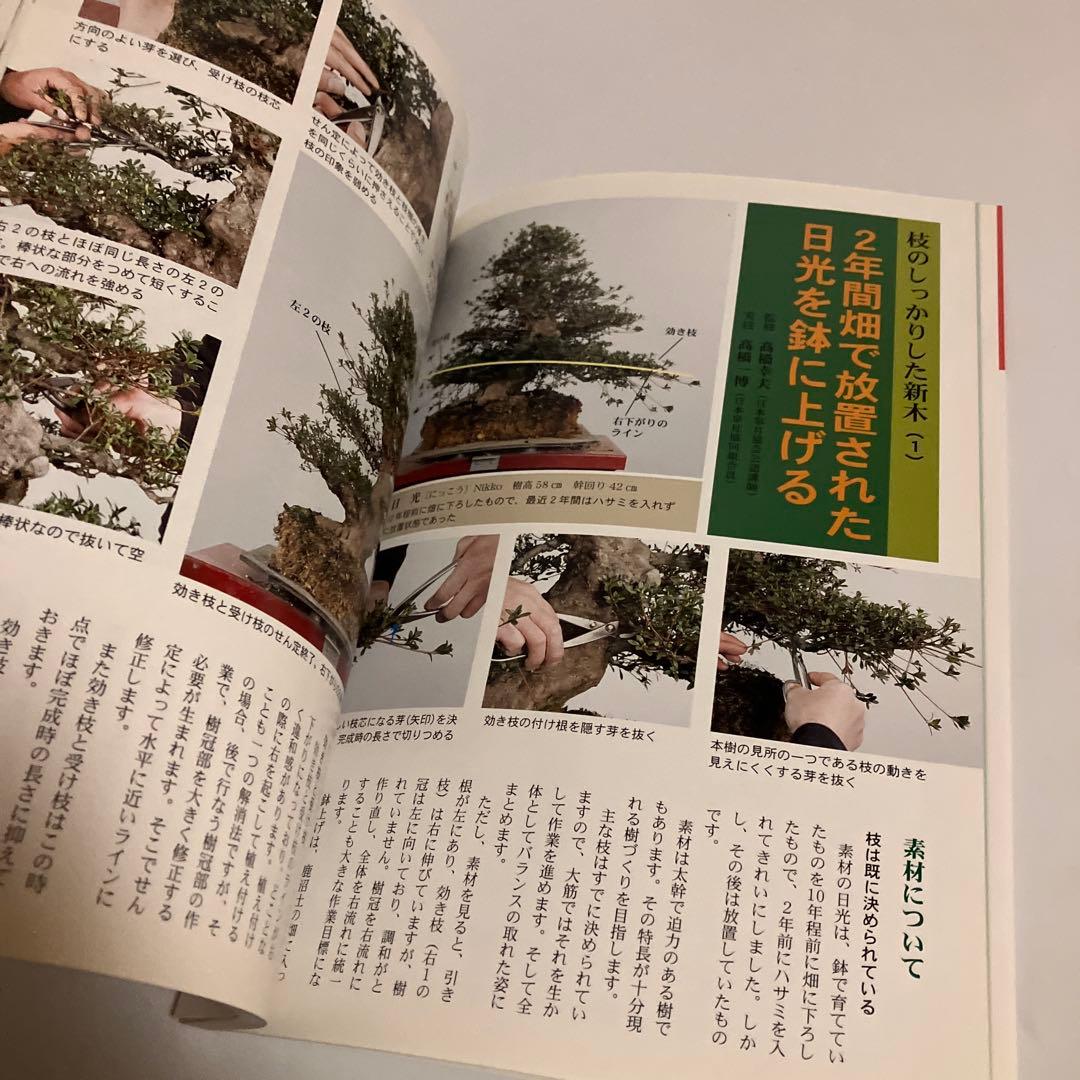 新木からの樹づくり