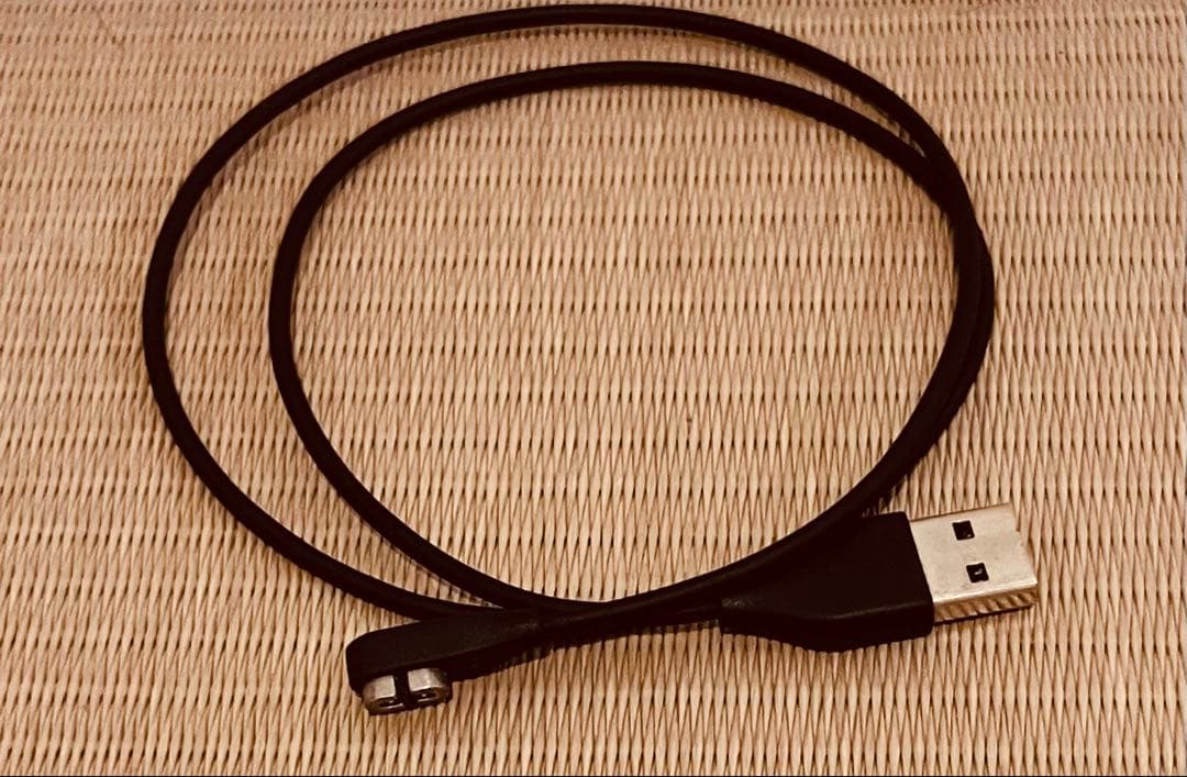 SHOKZ OpenRUN骨伝導イヤホン （マグネット充電方式）