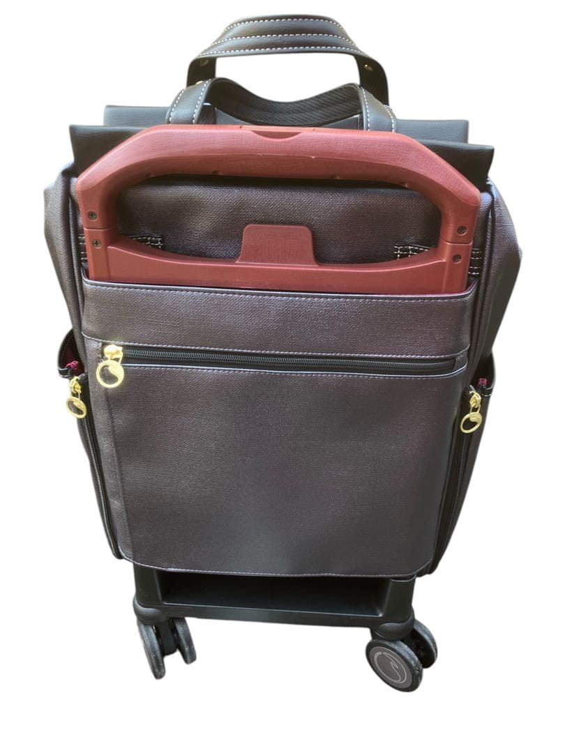 新品未使用　soelte ソエルテ カランド キャリーケース 12L