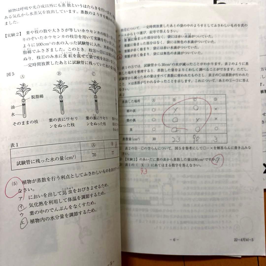 2022～2023年度　5年生13回