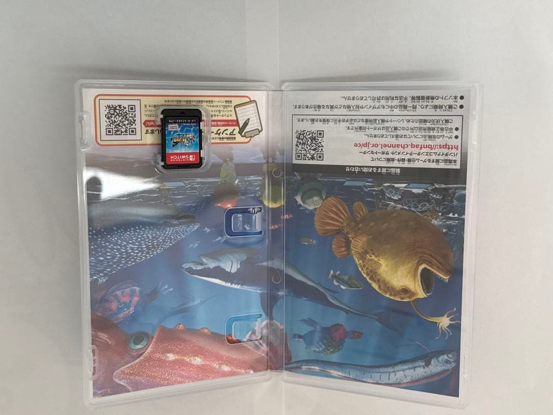 釣りスピリッツ Nintendo Switch + コントローラー2個