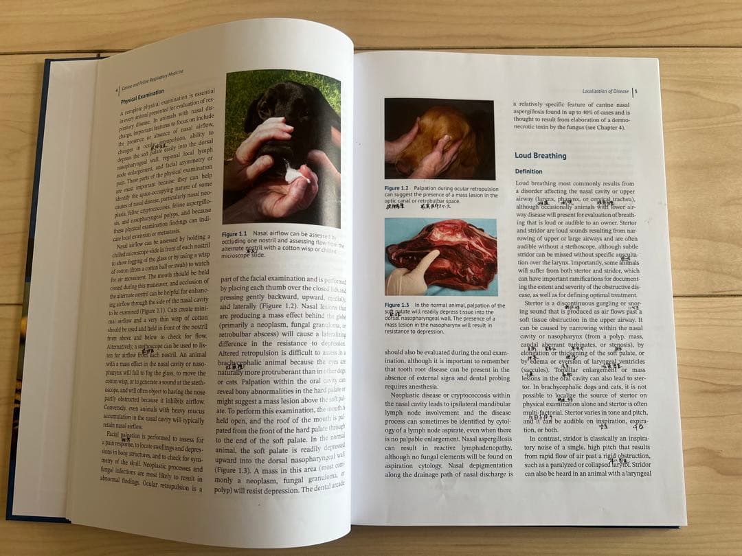 健康・医学 Canine and Feline Respiratory Medicine