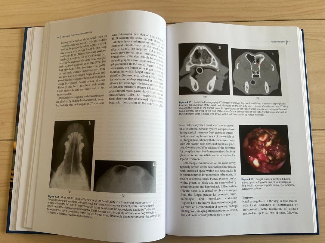健康・医学 Canine and Feline Respiratory Medicine