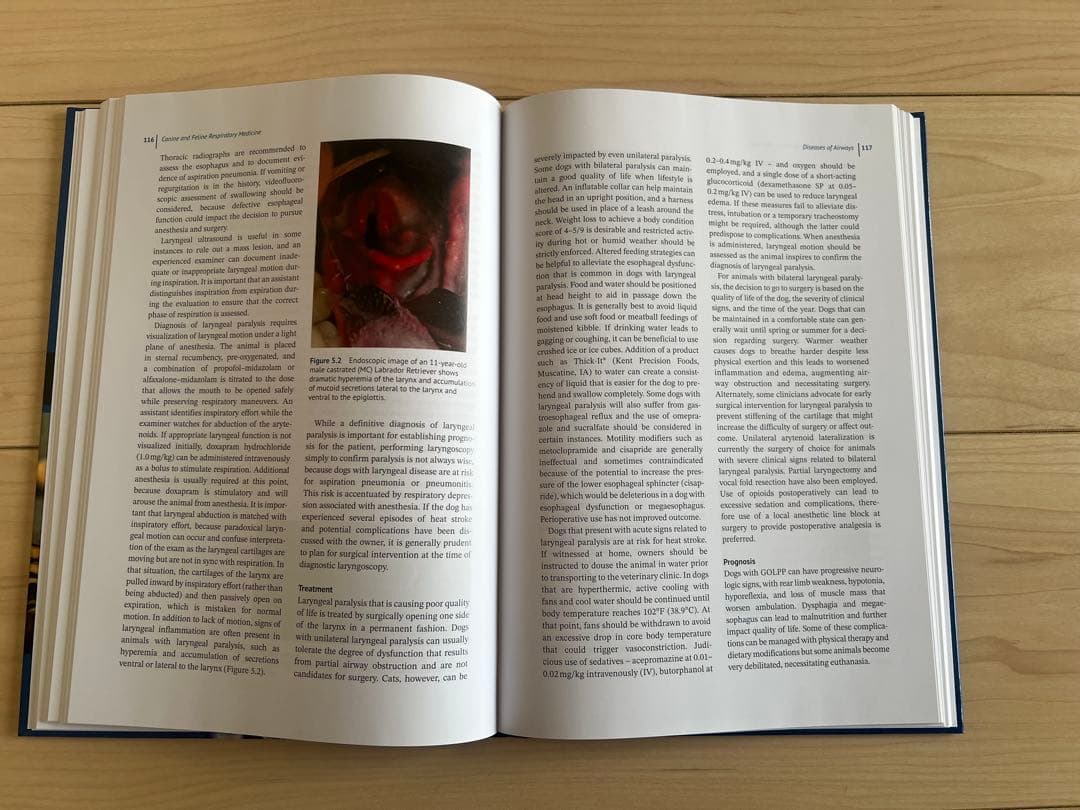 健康・医学 Canine and Feline Respiratory Medicine