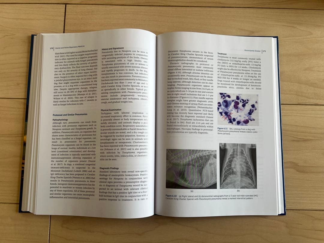 健康・医学 Canine and Feline Respiratory Medicine