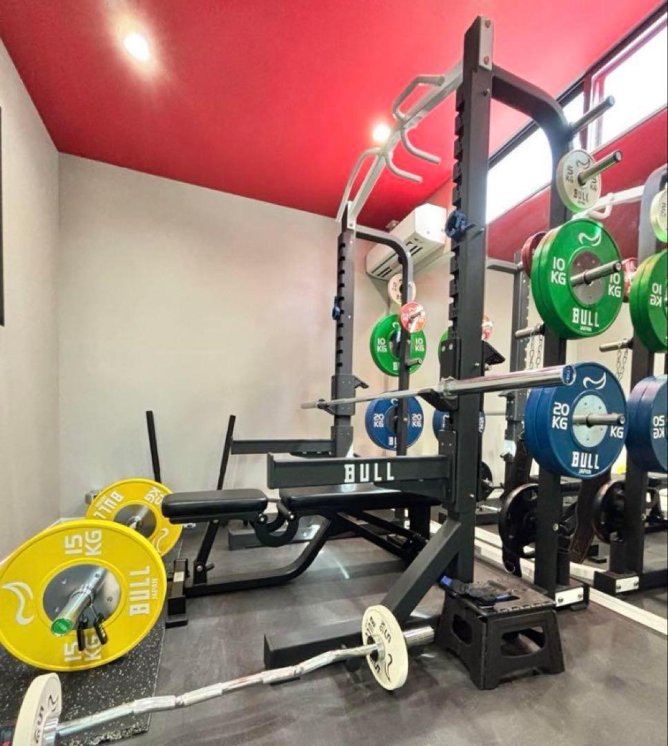 [Syusuke]BULLバンパープレートセット