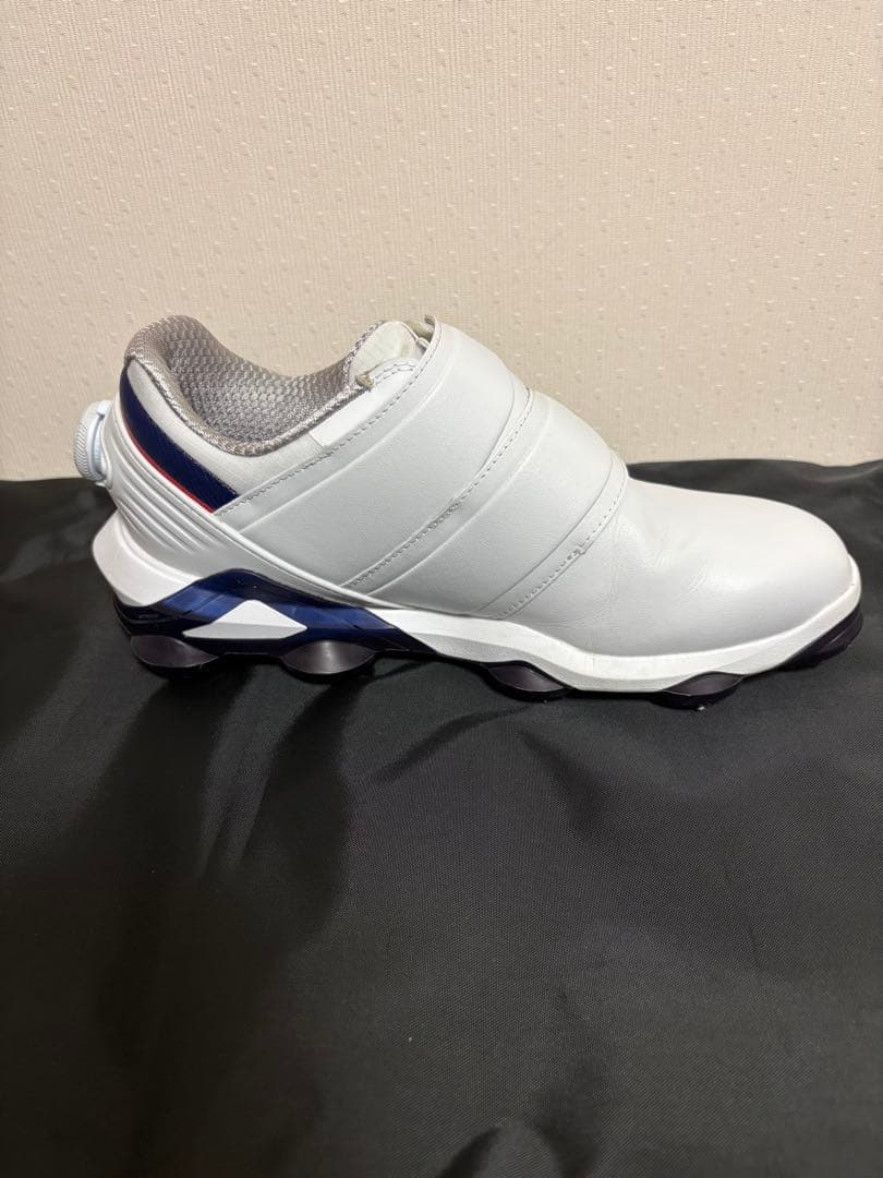 ゴルフシューズ　男性用　フットジョイ　ツアーアルファ