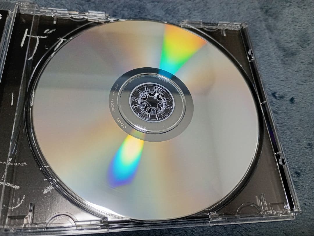 【入手困難】The Gerogerigegege『燃えない灰』ザ・ゲロゲリゲゲゲ