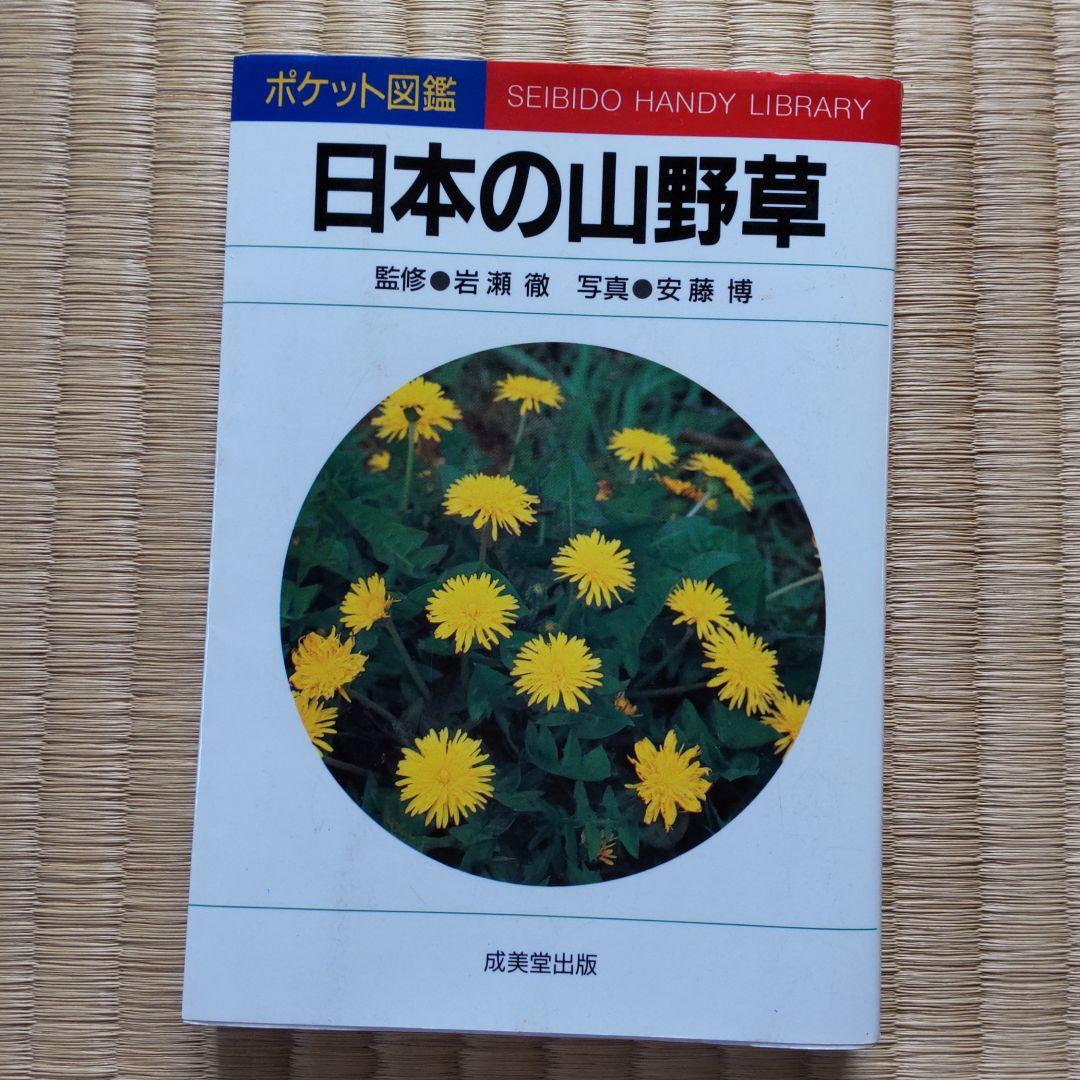 日本の山野草 : ポケット図鑑