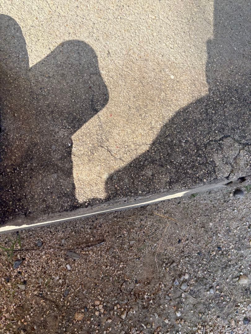 BOTTEGA VENETA ブラックショートブーツ