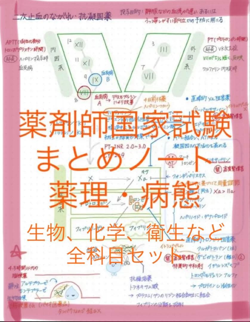 【ぴ】薬剤師国家試験対策 まとめノート 全科目セット 薬学部