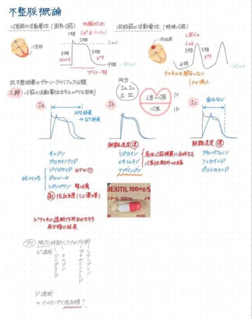 【ぴ】薬剤師国家試験対策 まとめノート 全科目セット 薬学部