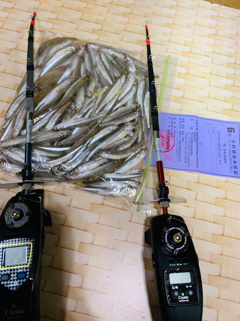 ワカサギステンレス穂先　　260ミリ　　２本