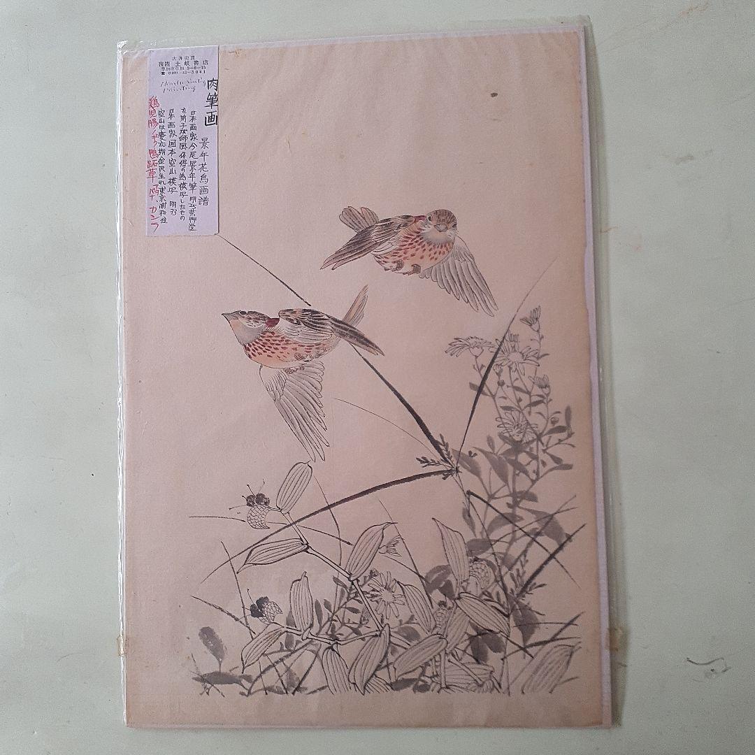 国本空山の肉筆画７枚