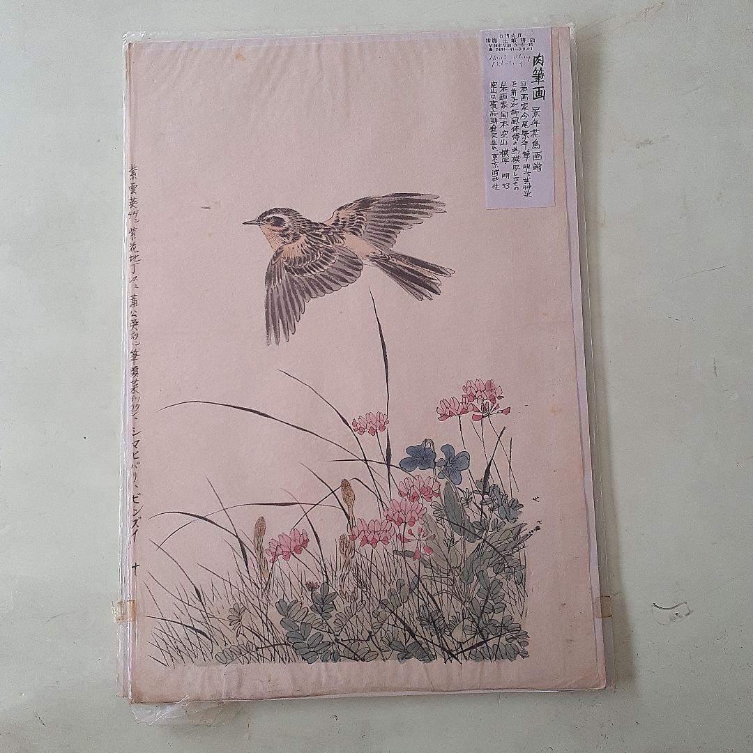 国本空山の肉筆画７枚