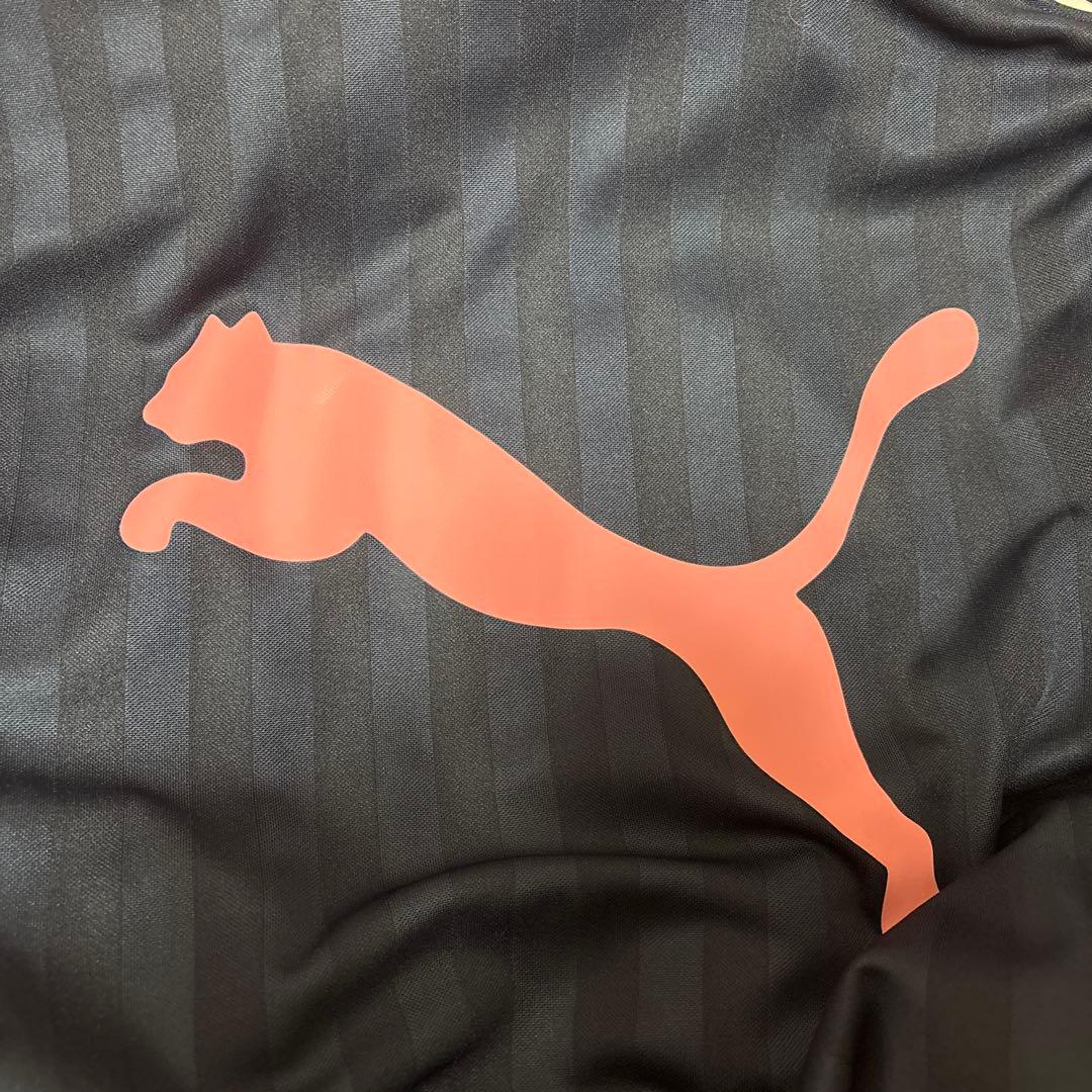 PUMA ダークブルー/ピンク ジャージ S~M 上下セット