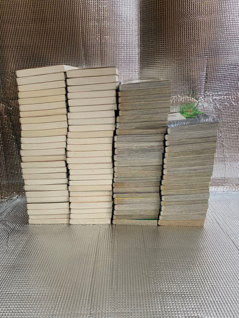 ジョジョの奇妙な冒険　スティールボールラン　ジョジョリオン