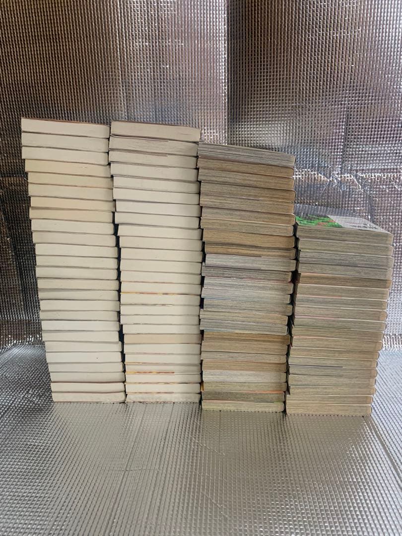 ジョジョの奇妙な冒険　スティールボールラン　ジョジョリオン