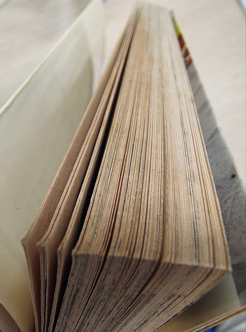 タフネス大地 9　巻　大和田夏希