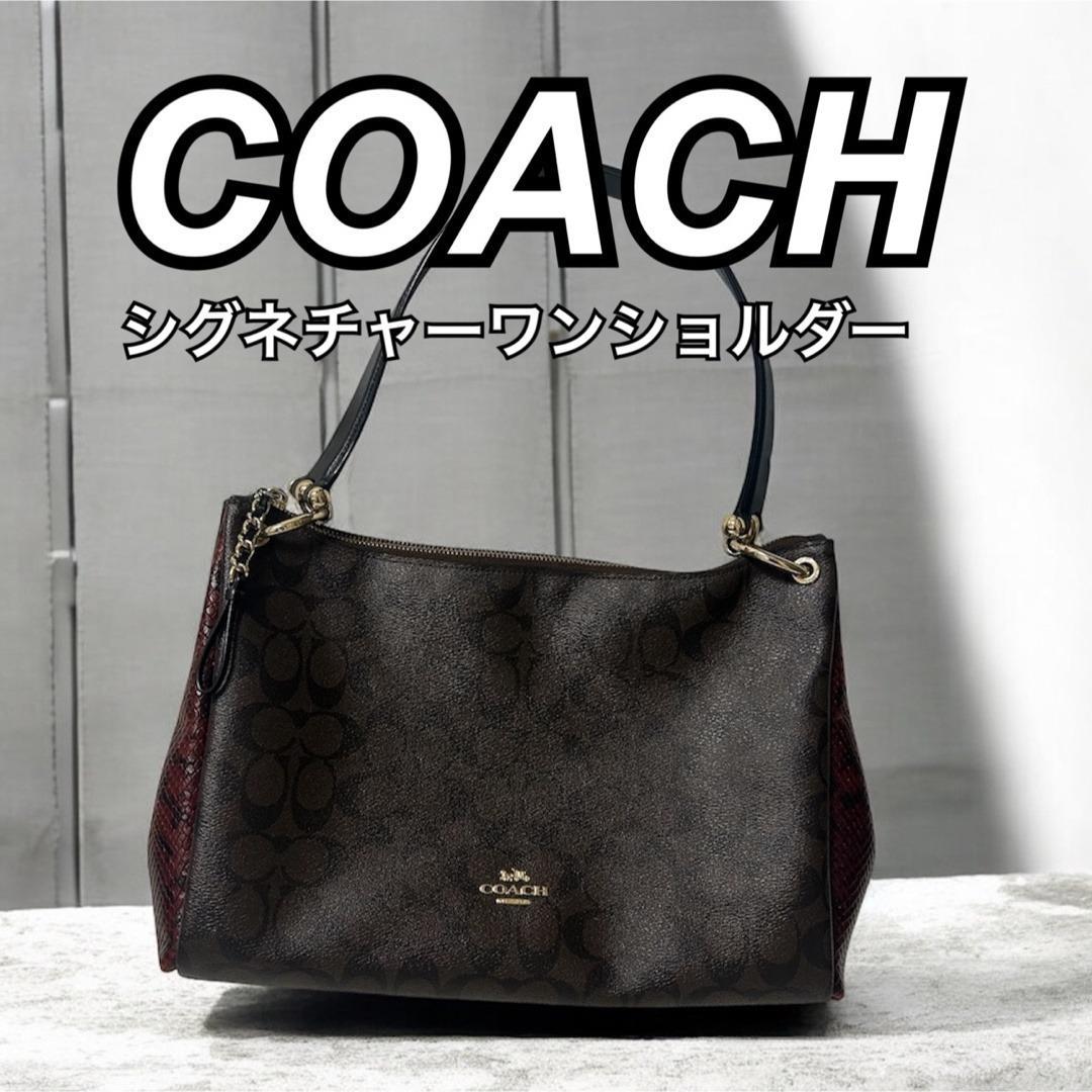 コーチ シグネチャーワンショルダーバッグ 肩掛け パイソン ブラウン