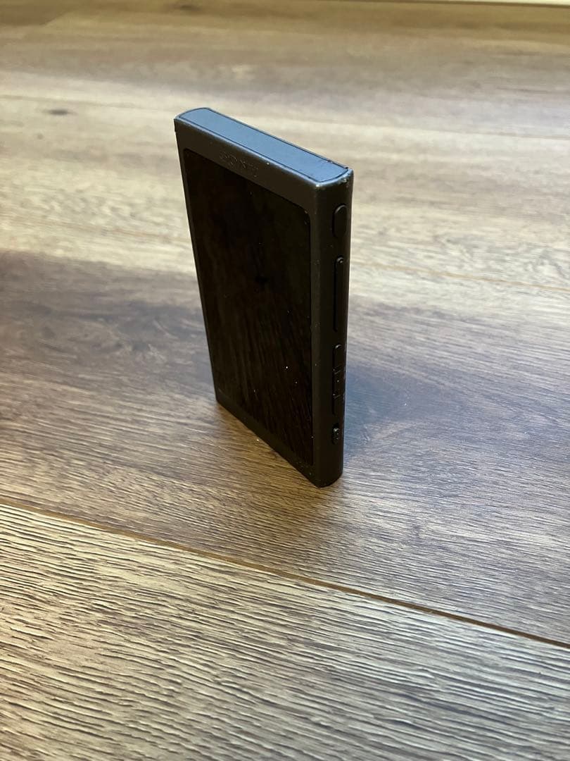 ポータブルプレーヤー sony nw-a45