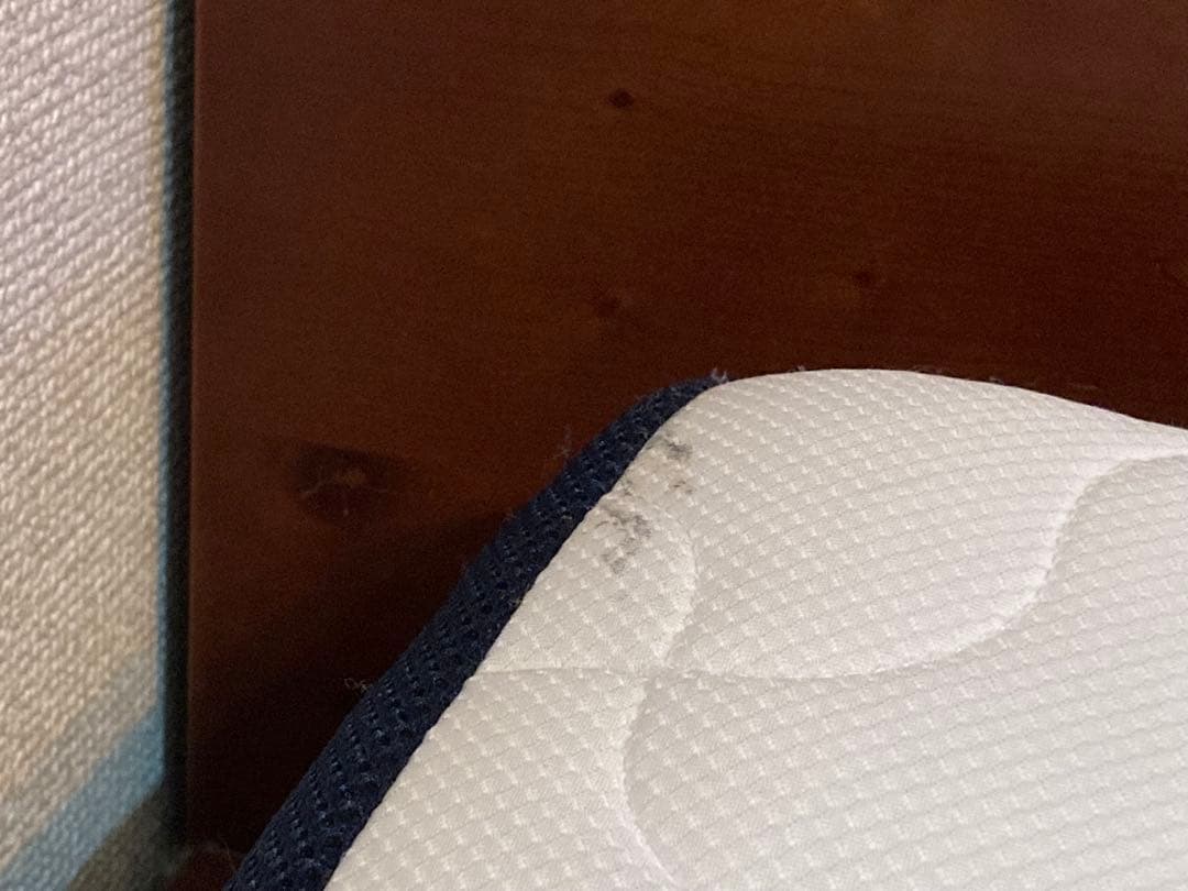 TENTIAL テンシャル BAKUNE リカバリー マットレス シングル