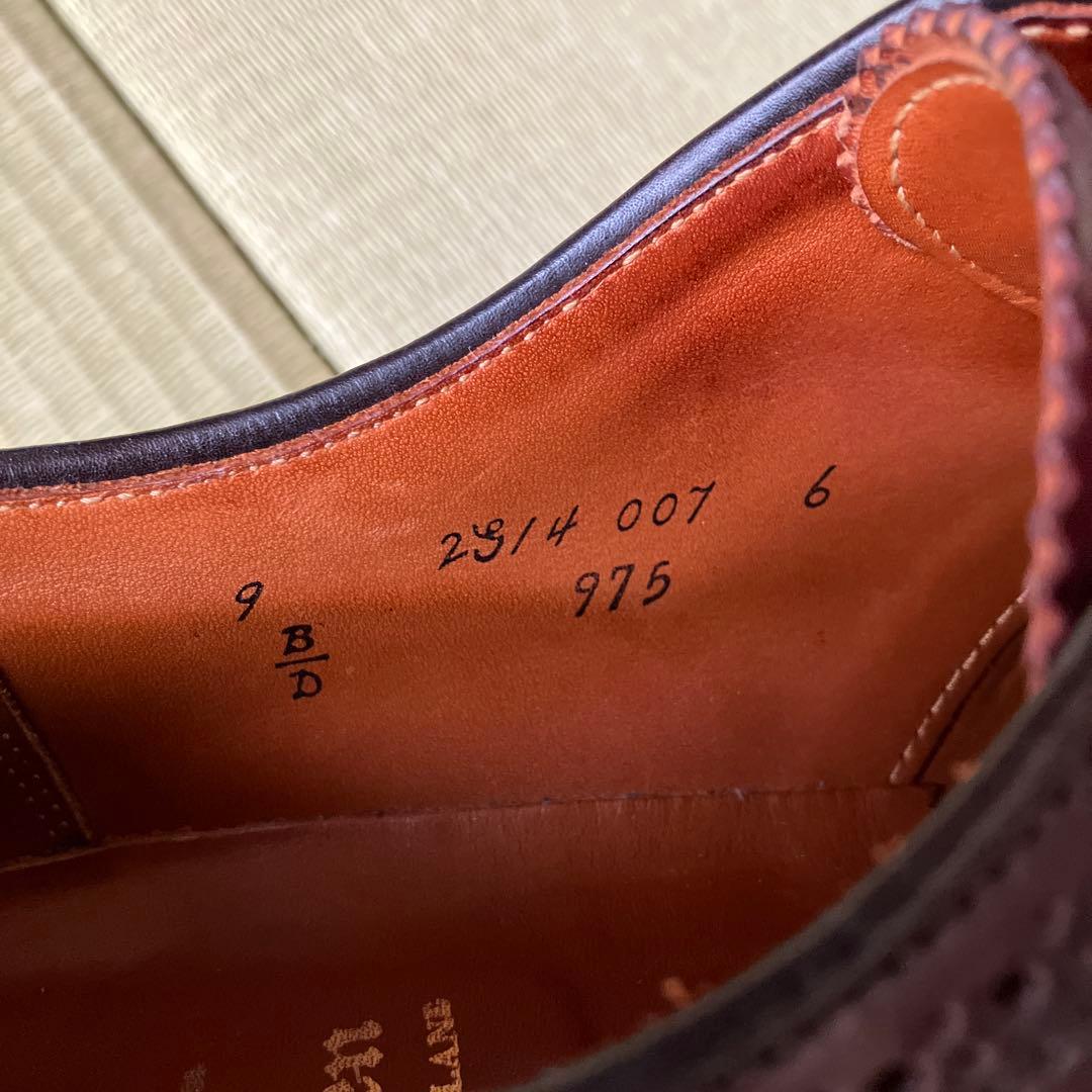 Alden オールデン 975 ロングウィングチップ コードバン　サイズ9
