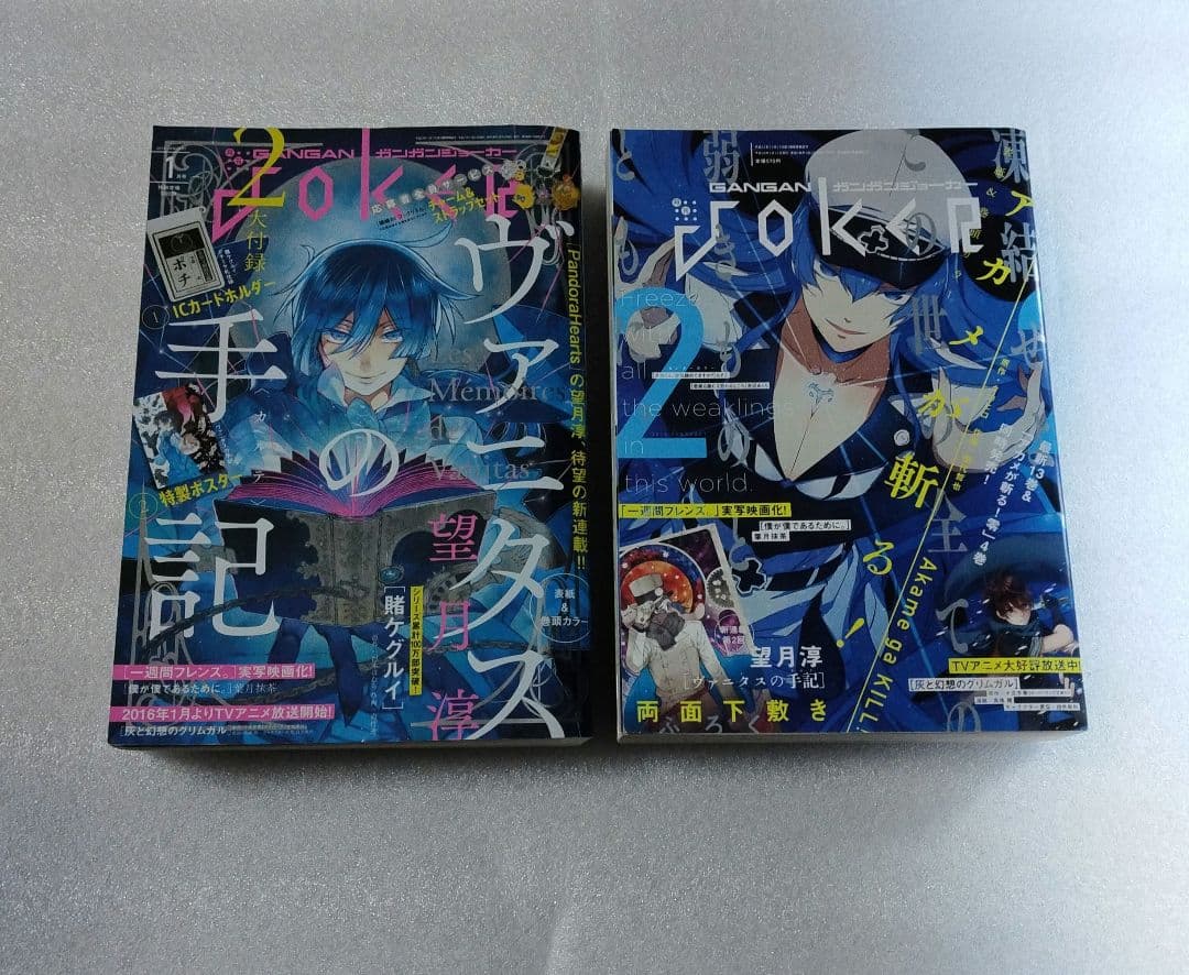 ガンガンjoker　2016年 1月号　2月号　ヴァニタスの手記