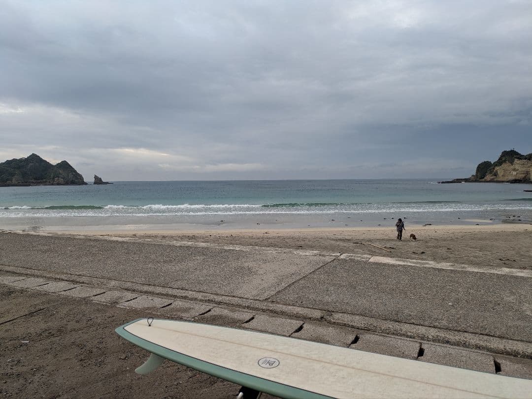 シーコングオリジナルTIP ロングボード 9.8ft