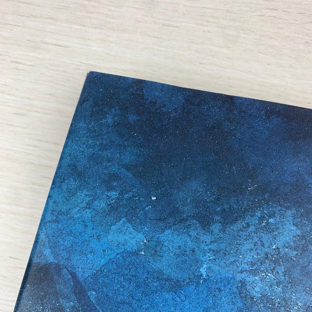 洋書 Cézanne's Watercolors 画集 作品集 水彩画