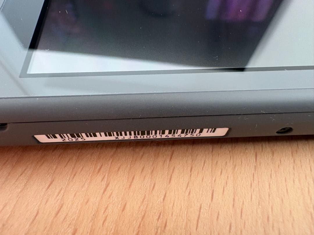 Nintendo Switch Lite 本体 グレー 外箱 付属品あり