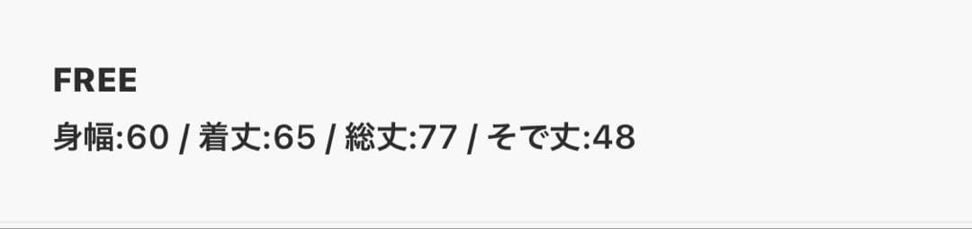 ウィムガゼット　Vガゼットプルオーバ　FREE 定価16500