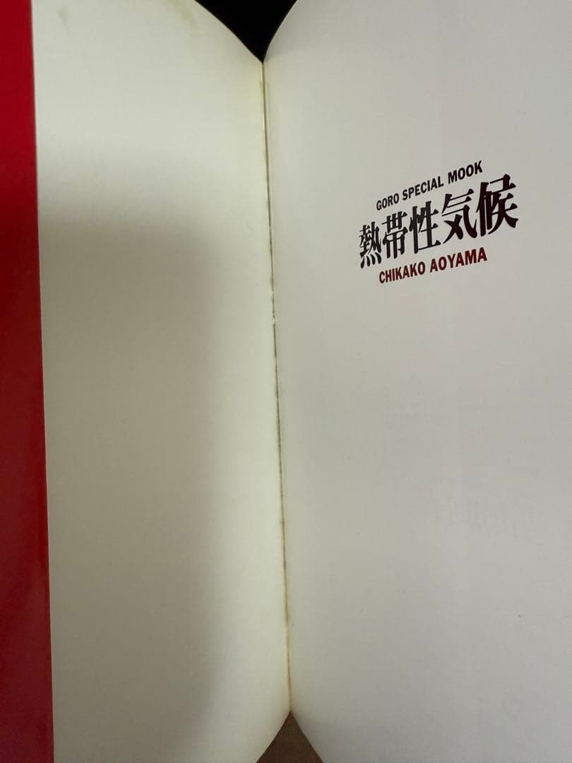 熱帯性気候　青山知可子