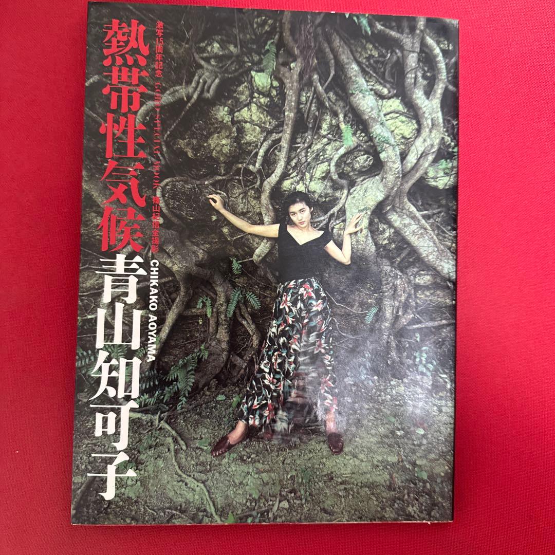 熱帯性気候　青山知可子