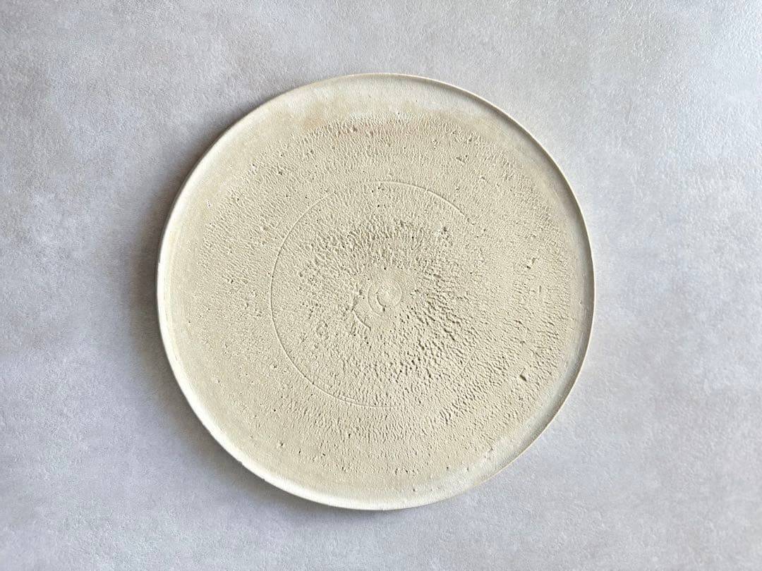 紺野乃芙子 白土 ディナープレート 25cm 2枚セット やちむん