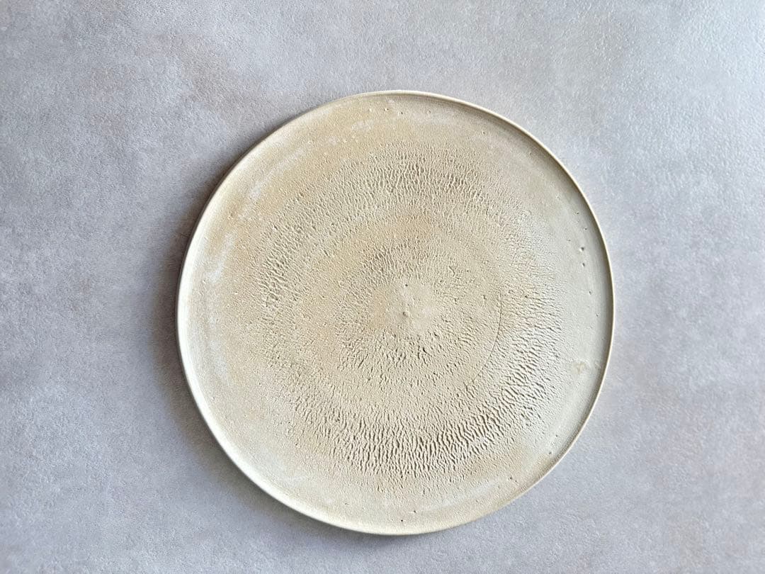 紺野乃芙子 白土 ディナープレート 25cm 2枚セット やちむん