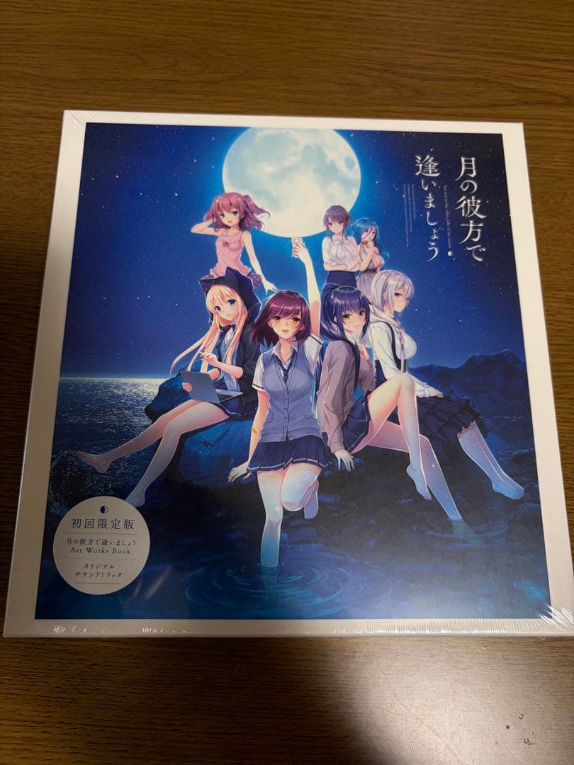 月の彼方で逢いましょう （初回限定版）