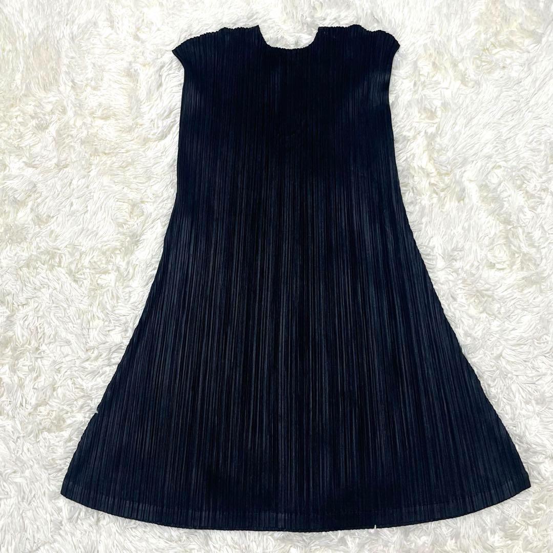 プリーツプリーズ　チュニック　Aライン　ワンピース　L フレンチスリーブ　黒