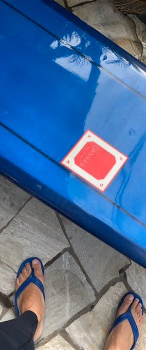 CANVAS ロングボード　9.6