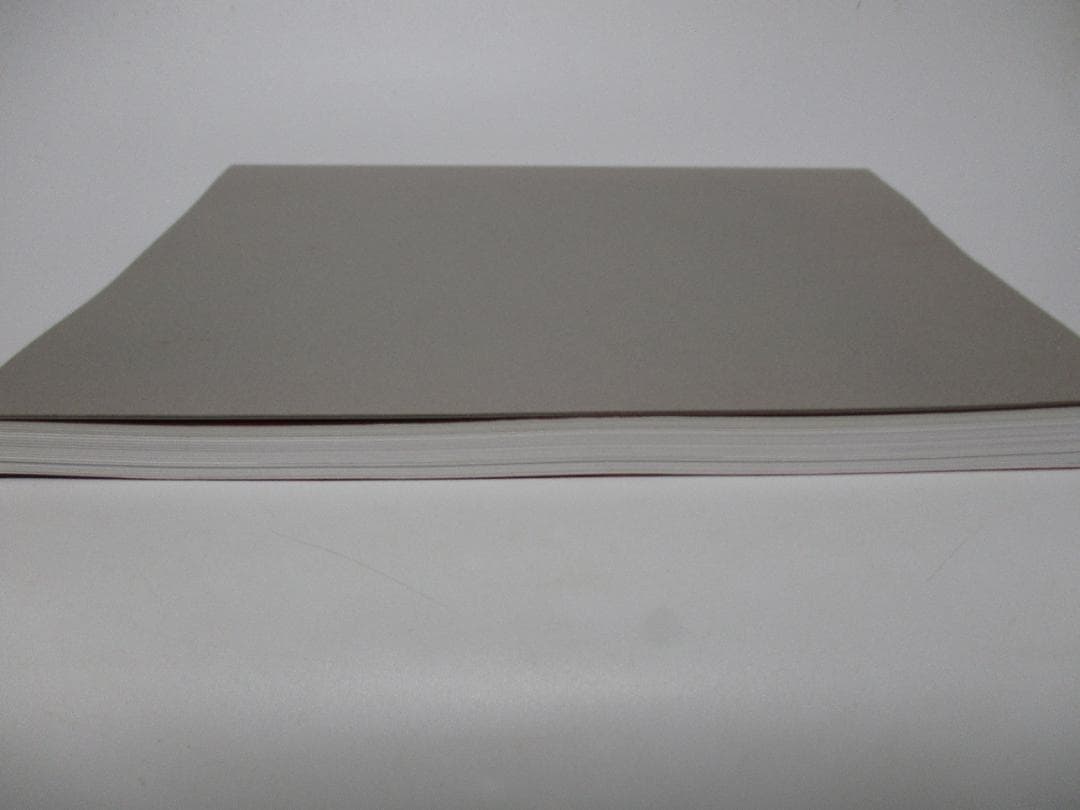 Double Silence 図録 ミヒャエル ポレマンス