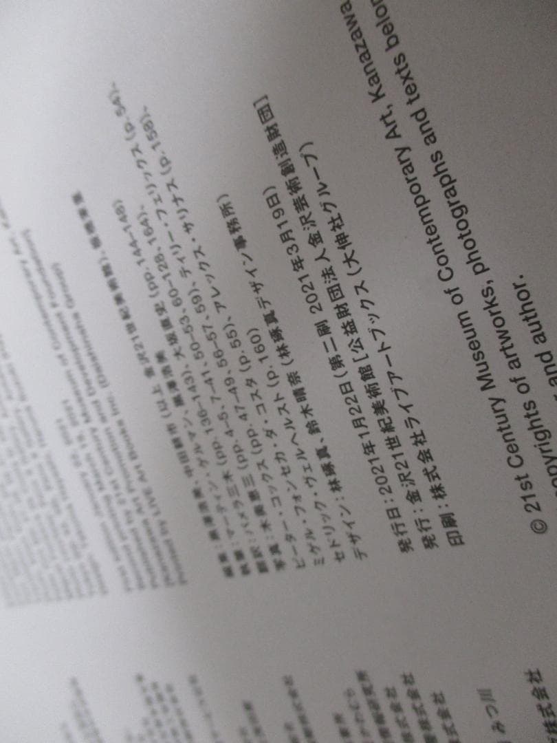 Double Silence 図録 ミヒャエル ポレマンス